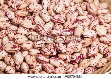 Phaseolus vulgaris - close-up raw white bean kernels.