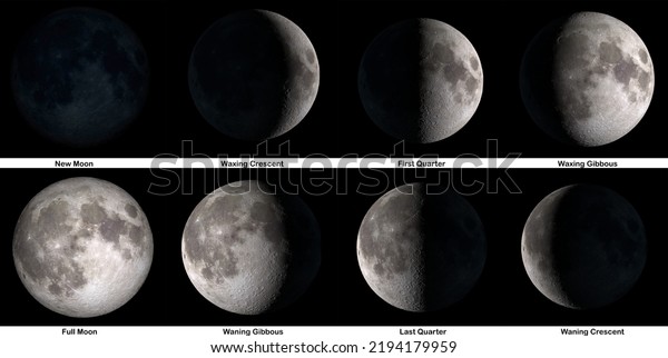 The phases of The Moon. Elements of this image were\
furnished by NASA.