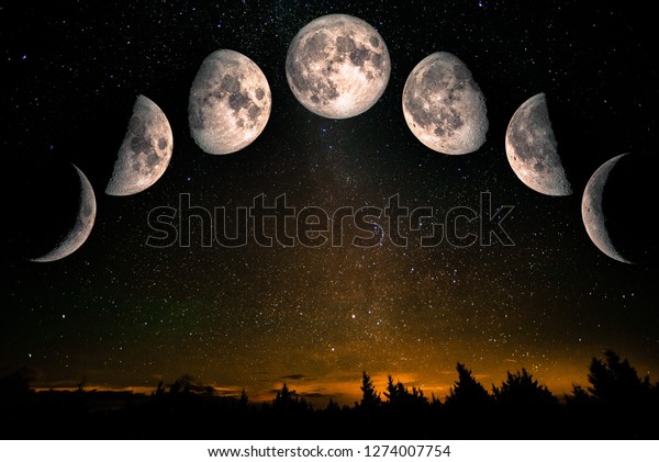 Phases of the Moon: waxing crescent, first quarter,
waxing gibbous, full moon, waning gibbous, third guarter, waning
crescent. Forest landscape with stars. The elements of this image
furnished by NASA