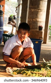 PHAYAO, THAILAND - FEBBRUARY 25, 2014 :Thai Students Sitting On 
The Ground Use A Knife Chopped Vegetables For Composting At School.