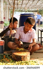 PHAYAO, THAILAND - FEBBRUARY 25, 2014 :Thai Students Sitting On 
The Ground Use A Knife Chopped Vegetables For Composting At School.