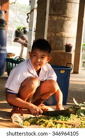 PHAYAO, THAILAND - FEBBRUARY 25, 2014 :Thai Students Sitting On 
The Ground Use A Knife Chopped Vegetables For Composting At School.