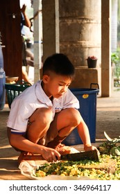 PHAYAO, THAILAND - FEBBRUARY 25, 2014 :Thai Students Sitting On 
The Ground Use A Knife Chopped Vegetables For Composting At School.