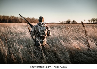 Pheasant hunter in the field with a gun