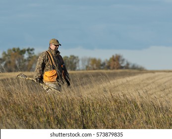 Pheasant Hunting