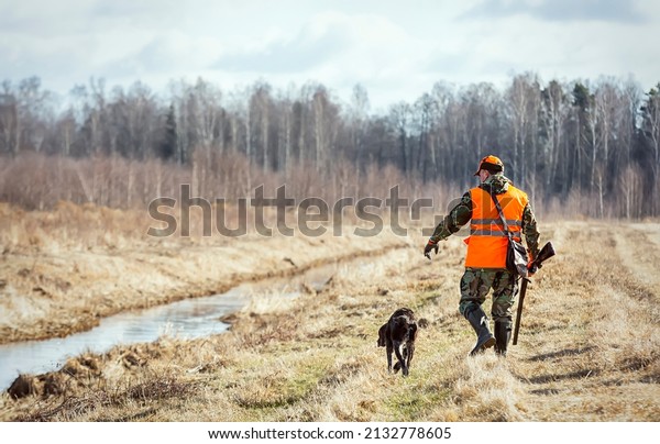Pheasant hunting, hunter with\
dog