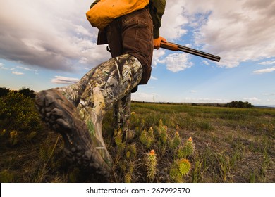 Pheasant Hunting Montana Grasslands 
