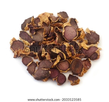 Phellinus linteus on the white background