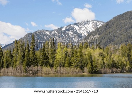 Phelps Lake, landscapes, mountains, forests and wild nature of Grand Teton National Park, Wyoming, USA