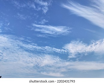 Phenomenal Cirrus Clouds Visible In The Morning Sky