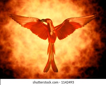 Pheonix Myth