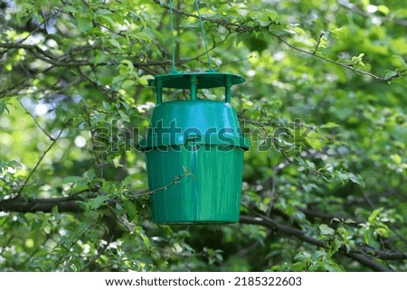 Pheromone trap for Plum fruit moth males in the branches of an plum tree.