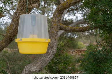 Pheromone-based tree pest control system. Island of Mallorca, Spain