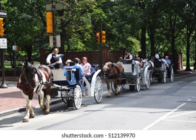 2,043 Horse drawn buggy Images, Stock Photos & Vectors | Shutterstock