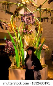 Philadelphia Flower Show. Philadelphia PA  March 2-10 2019. The Philadelphia Flower Show 2019  Flower Power Theme.