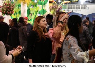 Philadelphia Flower Show. Philadelphia PA  March 2-10 2019. The Philadelphia Flower Show 2019  Flower Power Theme.