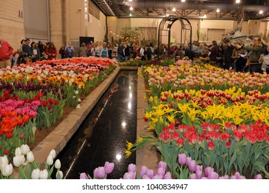 Philadelphia, Pennsylvania, USA, March 6, 2018 Philadelphia Flower Show, The Wonders Of Water