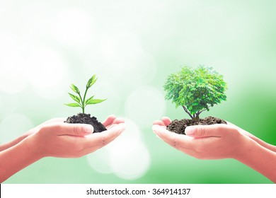 Philanthropy Concept: Two Human Hand Holding Small And Big Plant On Blurred Green Nature Background