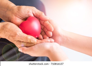 Philanthropy Health Care Concept. Caregiver  With Senior People Hands With Heart In Palm In Hospice Center With Copyspace. Public Service Recognition Week