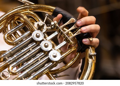 Philharmonist or musician playing to the french horn by the concert