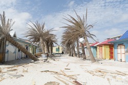 Philipbsburg St.Maarten, Hurricane Irma Category 5 Causes Damage To The Walters Plants