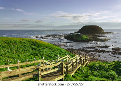 Phillip Island Skyline