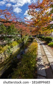 Philosopher's walk next to the river in Kyoto (Japan)