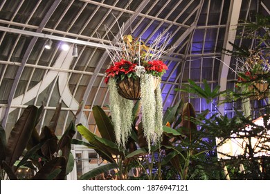 Phipps Conservatory And Botanical Gardens Winter Flower Show  - Pittsburgh, Pennsylvania, December 5, 2020.