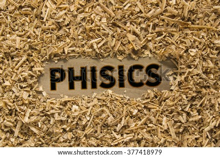 PHISICS word on wood