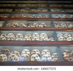 Phnom Penh, Cambodia. 29-12-2018. On Display In A Glass Case, Skulls Of People Murdered By The Khmer Rouge At The Killing Fields, During The Cambodian Holocaust.