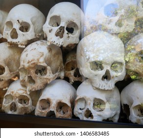 Phnom Penh, Cambodia. 29-12-2018. On Display In A Glass Case Skulls Of People Murdered By The Khmer Rouge, During The Cambodian Holocaust, Seem To Look Out At A, Living, Green World.