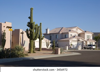 Phoenix Arizona Cul-de-sac With Saguaro Cacti In Front Adobe House