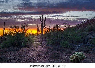 Phoenix Arizona Nigh Scene After Sunset