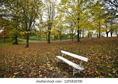 Phoenix Park Autumn Landscape In Dublin, Ireland. 