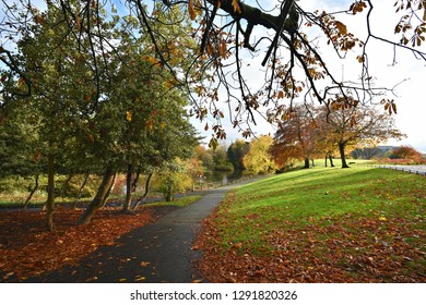 Phoenix Park Autumn Landscape In Dublin, Ireland. 