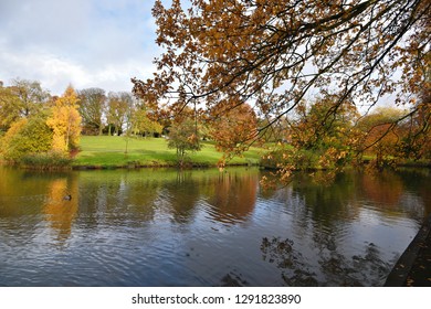 Phoenix Park Autumn Landscape In Dublin, Ireland. 