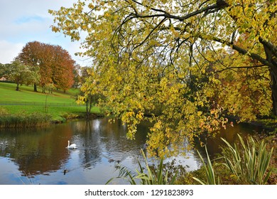 Phoenix Park Autumn Landscape In Dublin, Ireland. 