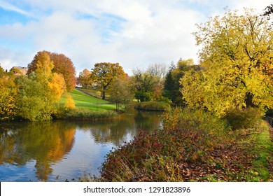 Phoenix Park Autumn Landscape In Dublin, Ireland. 