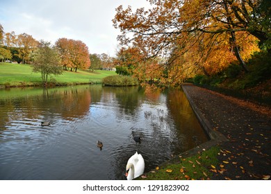 Phoenix Park Autumn Landscape In Dublin, Ireland. 