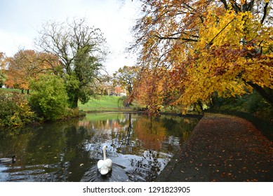 Phoenix Park Autumn Landscape In Dublin, Ireland. 