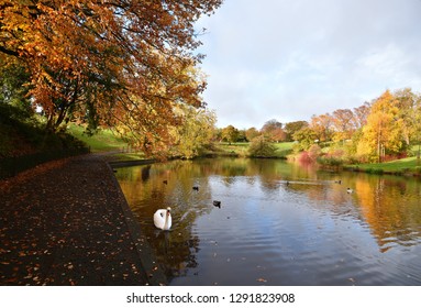 Phoenix Park Autumn Landscape In Dublin, Ireland. 