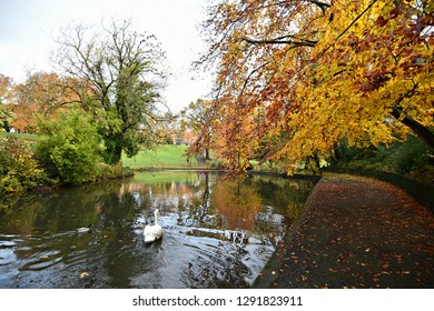 Phoenix Park Autumn Landscape In Dublin, Ireland. 