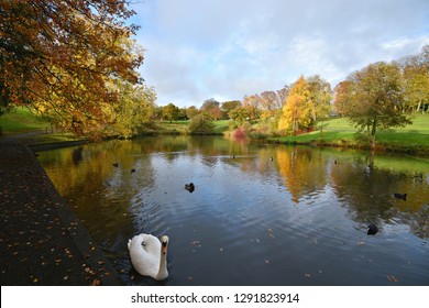 Phoenix Park Autumn Landscape In Dublin, Ireland. 