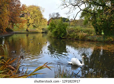 Phoenix Park Autumn Landscape In Dublin, Ireland. 