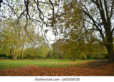 Phoenix Park Autumn Landscape In Dublin, Ireland. 