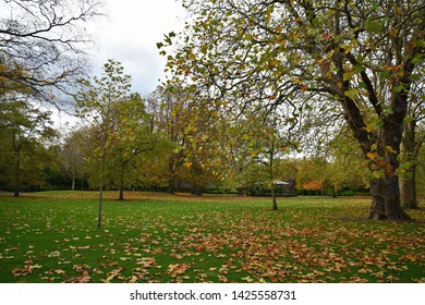 Phoenix Park Autumn Landscape In Dublin, Ireland. 