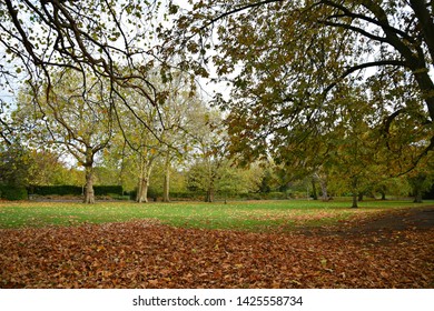 Phoenix Park Autumn Landscape In Dublin, Ireland. 