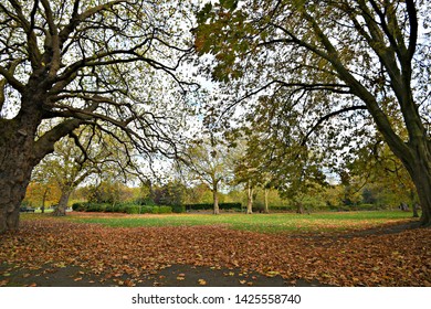 Phoenix Park Autumn Landscape In Dublin, Ireland. 