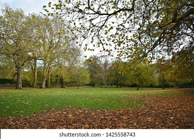 Phoenix Park Autumn Landscape In Dublin, Ireland. 