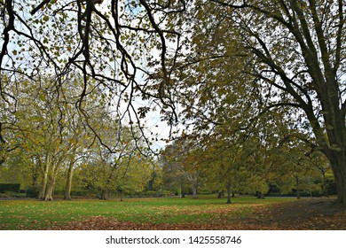 Phoenix Park Autumn Landscape In Dublin, Ireland. 